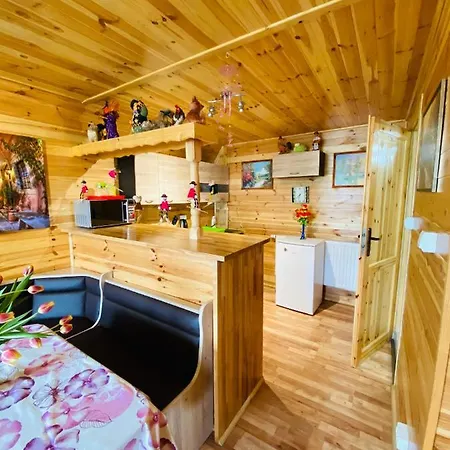 شاليه Komfortowy Aga Centrum فيسلا